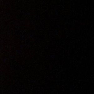 Meet your Posher, Sammy